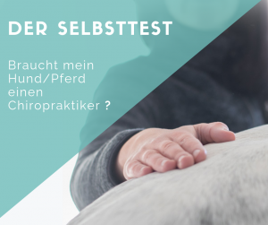 Selbsttest Chiropraktik