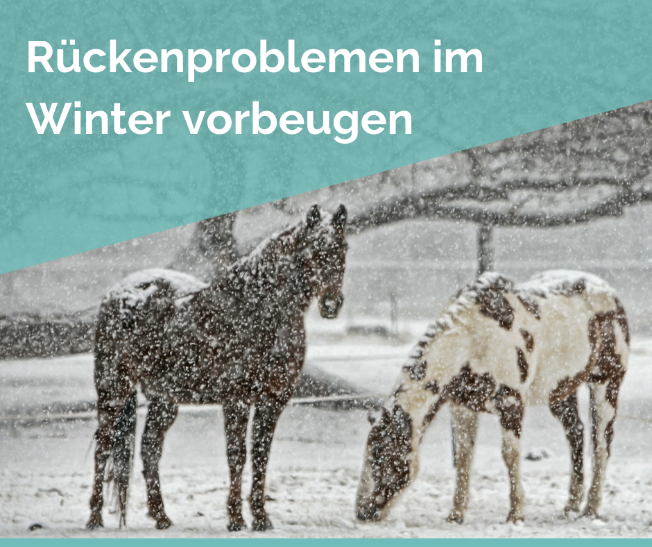 Rückenprobleme Winter Rückenproblemen vorbeugen