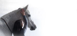 Tierärztliche Chiropraktik