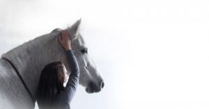 Tierärztin Stefanie Schmidt Chiropraktik